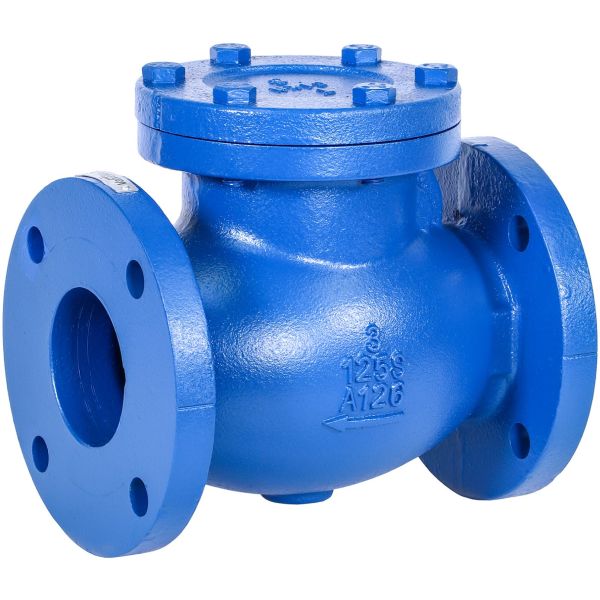 Swing Check Valve